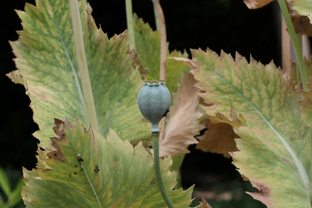 13 Rang 120 Luechinger Antoinette